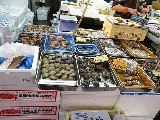 Различные морепродукты на рынке Цукидзи.
