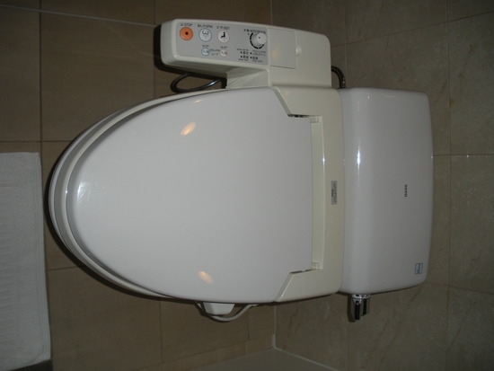 Новый современный японский туалет с кнопочками.